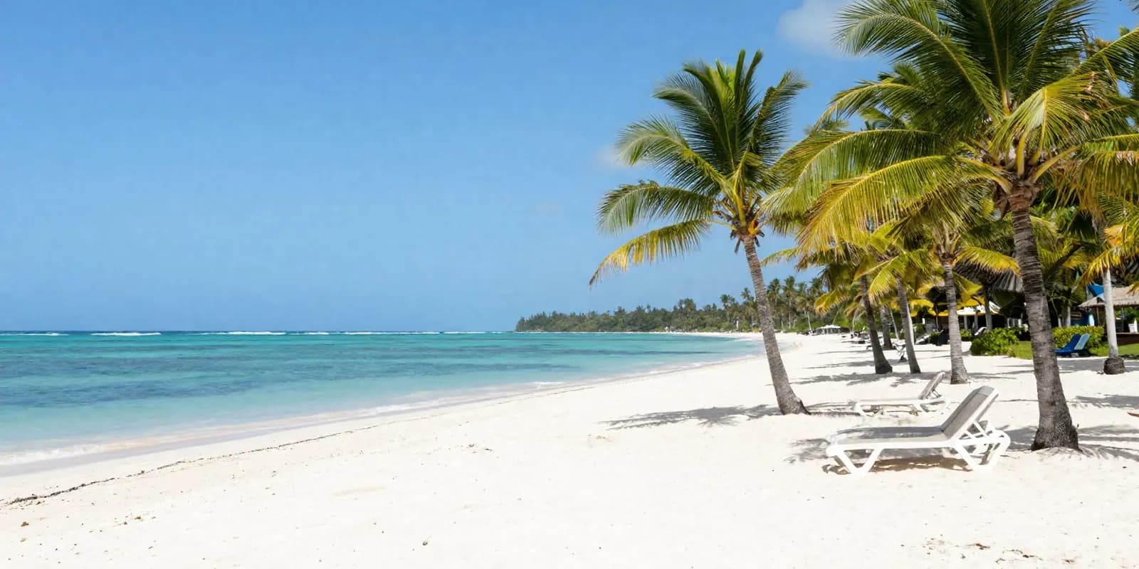 A white sand Caribbean beach with palm trees and turquoise water