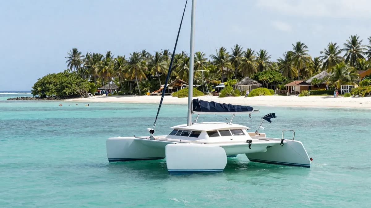 A catamaran anchored in turquoise water near a palm-lined island