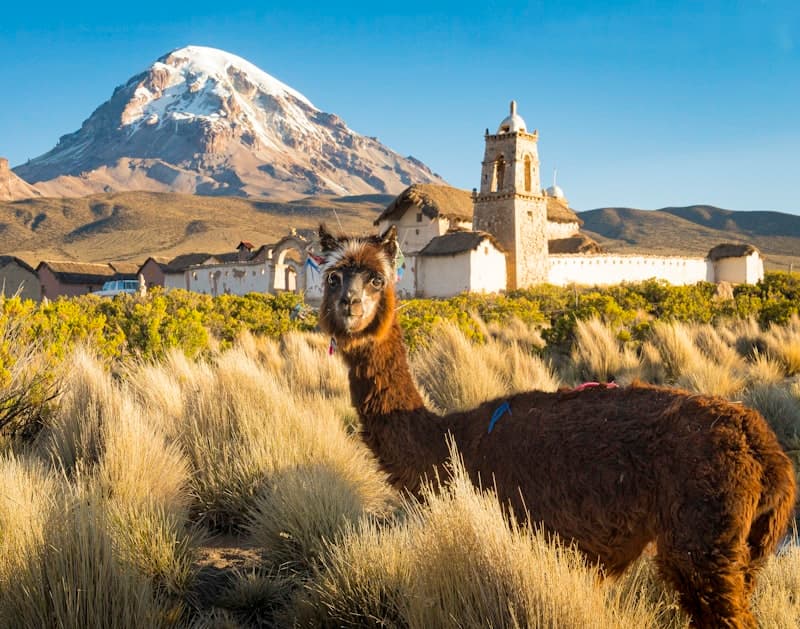 Bolivie