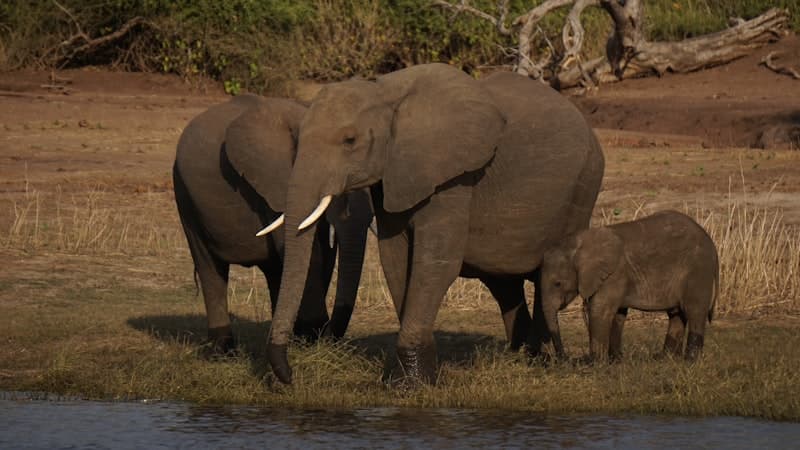 Botswana