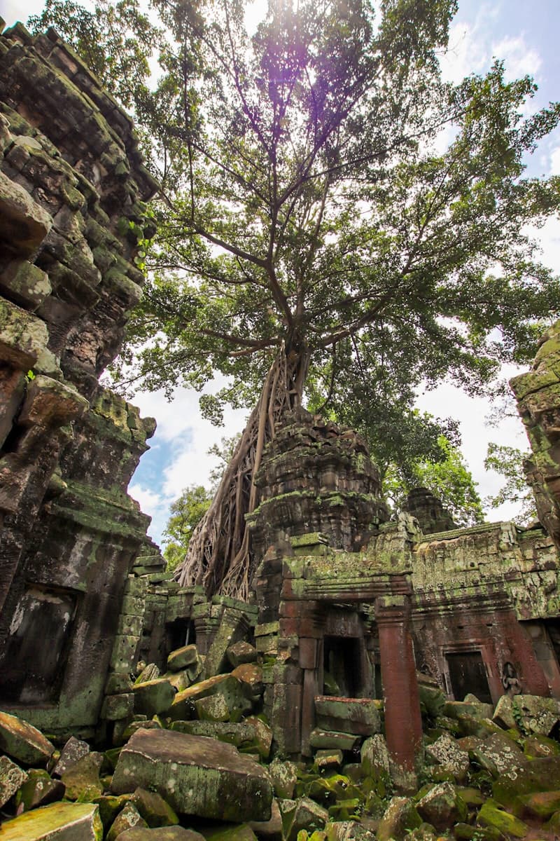 Cambodge