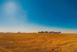 a-vibrant-camel-caravan-traversing-t-99cf39d2-6af1-41fd-9ac7-e6dffa336190.webp