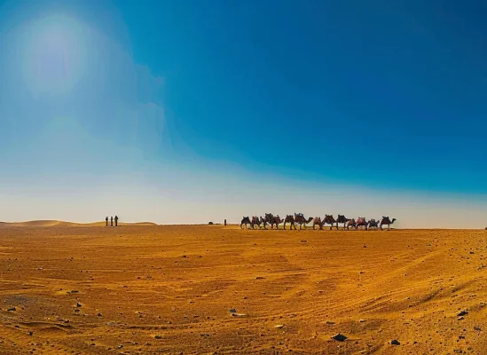 a-vibrant-camel-caravan-traversing-t-99cf39d2-6af1-41fd-9ac7-e6dffa336190.webp